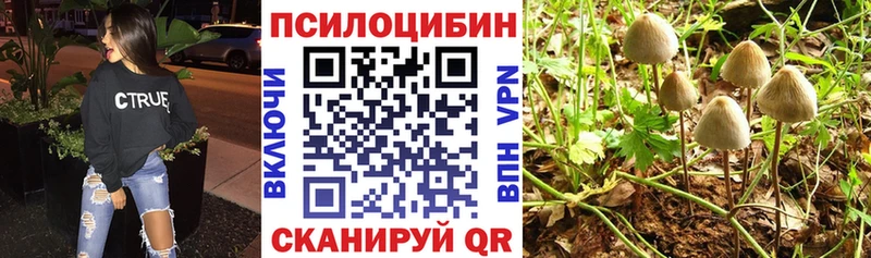 Галлюциногенные грибы мухоморы  Александровск-Сахалинский 